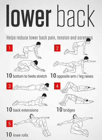 How to Get a Strong Low Back  DO THIS EVERY DAY! 