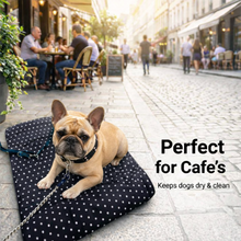 Load image into Gallery viewer, Portable Orthopaedic Dog Mat
